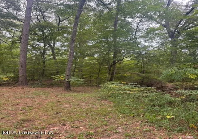 28th image of 1270 Hwy 469, Pearl, MS 39208 | MLS# 4123314