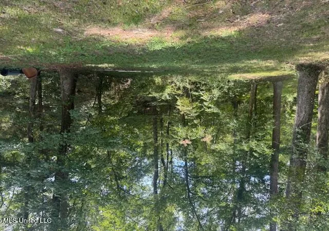 2nd image of 1270 Hwy 469, Pearl, MS 39208 | MLS# 4123314