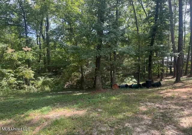 Photo 3 of Land for sale at 1270 Highway 469, Pearl, MS 39208 | MLS# 4123314 | Listing updated on 2026-07-15
