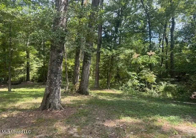 Photo 3 of Land for sale at 1270 Highway 469, Pearl, MS 39208 | MLS# 4123314 | Listing updated on 2026-07-15