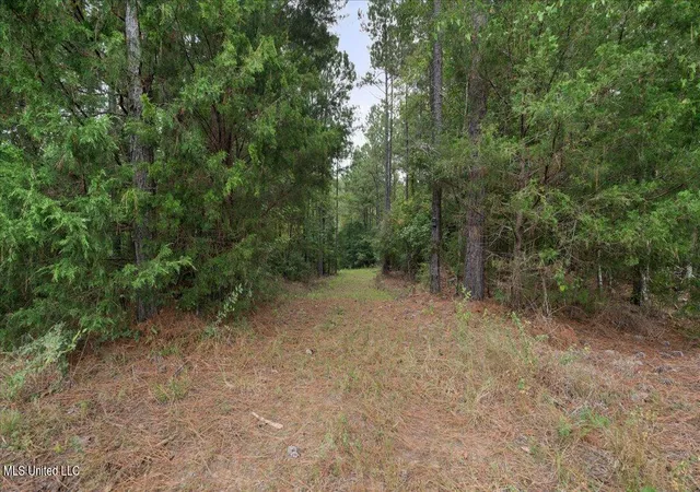 Photo 4 of Land for sale at 1270 Highway 469, Pearl, MS 39208 | MLS# 4123314 | Listing updated on 2026-07-15