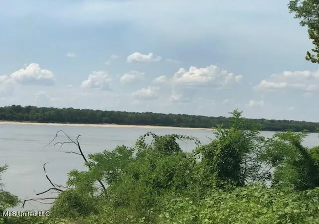 Photo 4 of Land for sale at 000 Jackson Point Rd, Woodville, MS 39669 | MLS# 4124026 | Listing updated on 2026-06-09