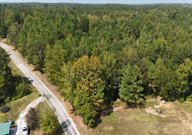 Homes for sale in Holly Springs, MS | Wilkins Chapel, Holly Springs, MS 38635 | MLS# 4124038