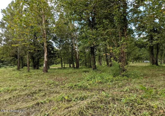 Homes for sale in Woodville, MS | 0 Pecan Grove Rd, Woodville, MS 39669 | MLS# 4124062