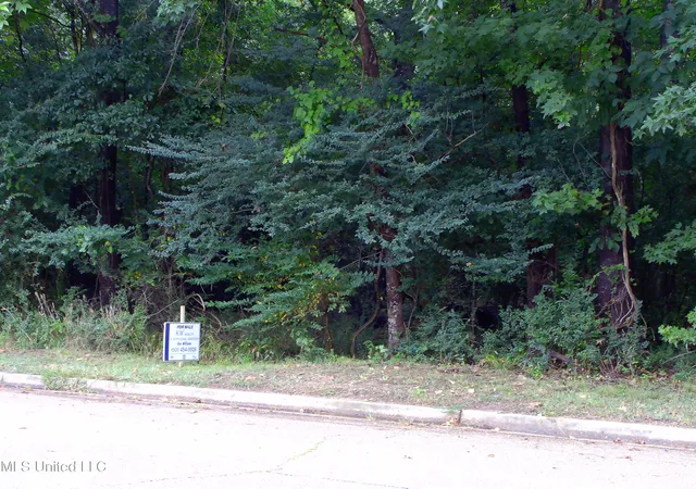1st image of Woodbridge Dr, Madison, MS 39110 | MLS# 4124242