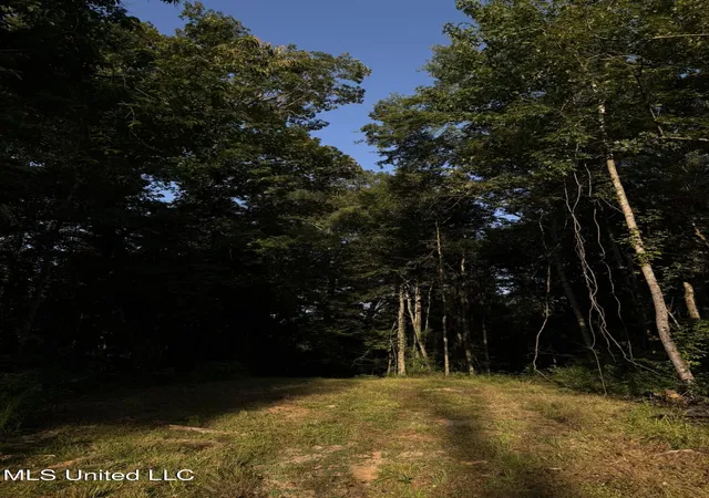 11th image of Sumrall Rd, Crystal Springs, MS 39059 | MLS# 4124309