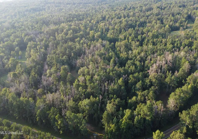 2nd image of Sumrall Rd, Crystal Springs, MS 39059 | MLS# 4124309