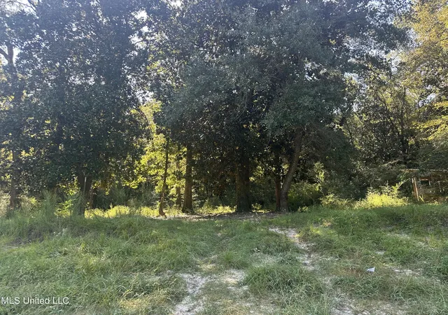 2nd image of M M Cochran Rd, Lucedale, MS 39452 | MLS# 4124682
