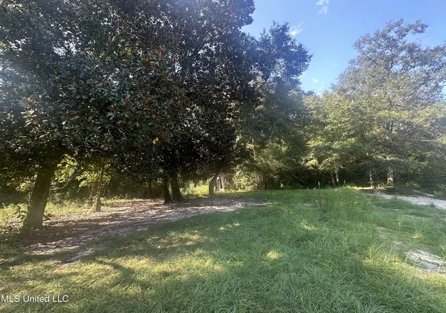 4th image of M M Cochran Rd, Lucedale, MS 39452 | MLS# 4124682