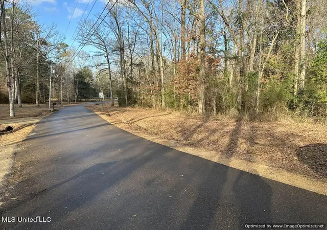 Homes for sale in Brookhaven, MS | Ne Lakeview Dr, Brookhaven, MS 39601 | MLS# 4124904