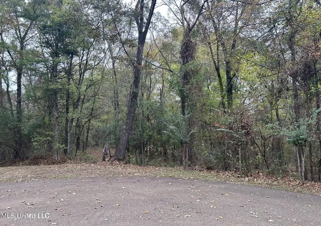 Photo 1 of Land for sale at Westminster Ct, Madison, MS 39110 | MLS# 4124873 | Listing updated on 2026-03-30