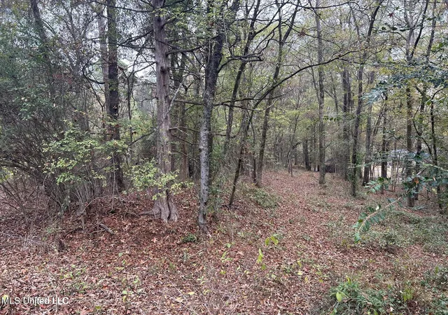 Photo 2 of Land for sale at Westminster Ct, Madison, MS 39110 | MLS# 4124873 | Listing updated on 2026-03-30
