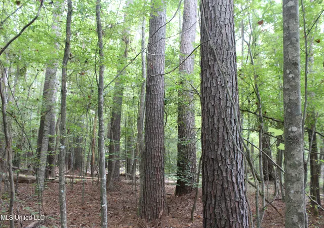 Homes for sale in Brookhaven, MS | Ne Hopewell Rd, Brookhaven, MS 39601 | MLS# 4125137