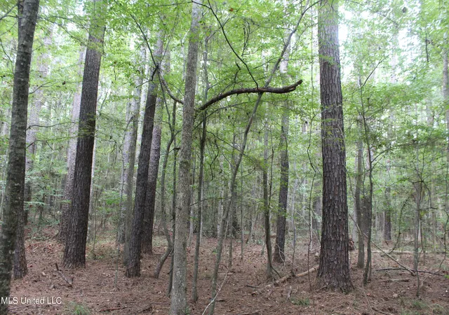 Homes for sale in Brookhaven, MS | Ne Hopewell Rd, Brookhaven, MS 39601 | MLS# 4125137
