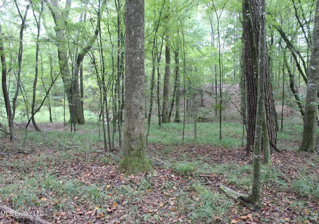 Homes for sale in Brookhaven, MS | Ne Hopewell Rd, Brookhaven, MS 39601 | MLS# 4125137