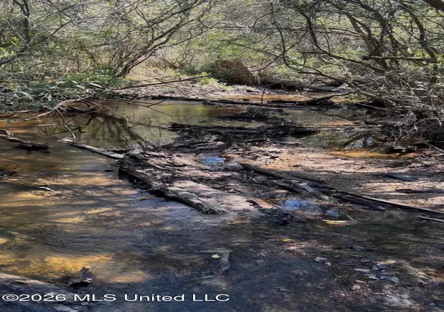 Homes for sale in Wiggins, MS | 1050 Deep Creek Rd, Wiggins, MS 39577 | MLS# 4126006