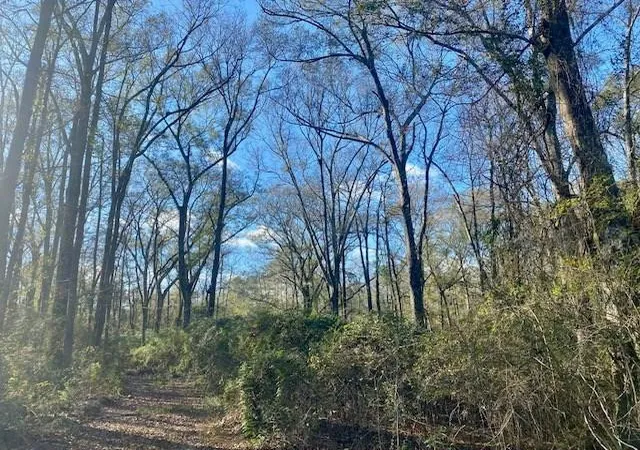 Photo 1 of Sale Pending at Morgantown Rd, Mc Comb, MS 39648 | MLS# 4125975 | Listing updated on 2026-03-30