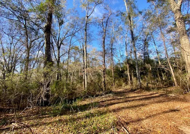 Photo 3 of Sale Pending at Morgantown Rd, Mc Comb, MS 39648 | MLS# 4125975 | Listing updated on 2026-03-30