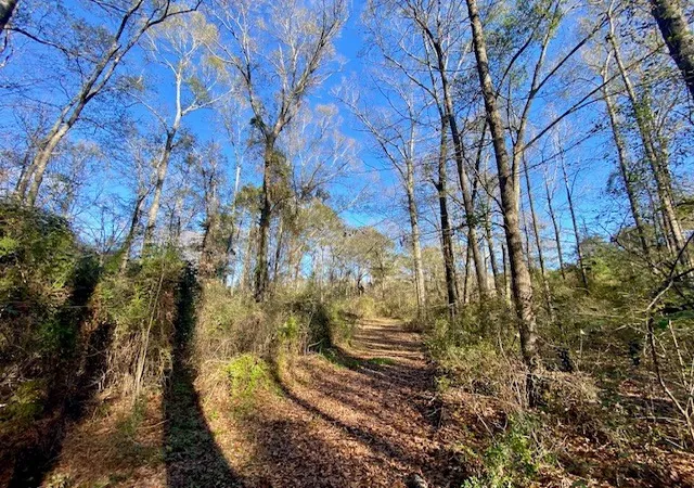 Photo 4 of Sale Pending at Morgantown Rd, Mc Comb, MS 39648 | MLS# 4125975 | Listing updated on 2026-03-30