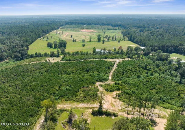 60th image of 7020 Gibson Rd, Mc Comb, MS 39648 | MLS# 4126090