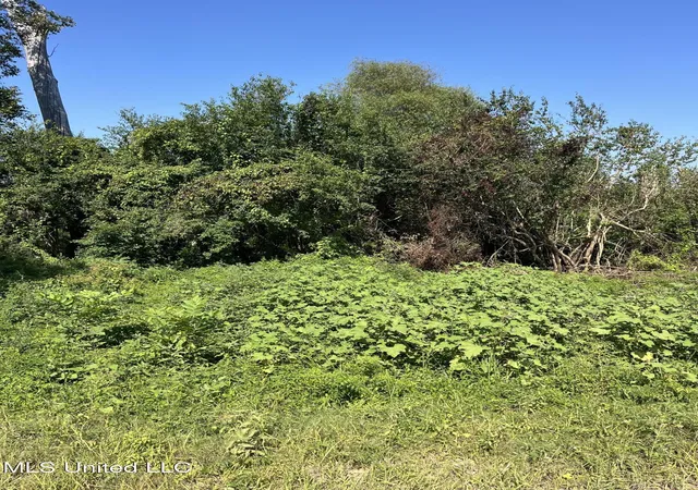 Photo 3 of Land for sale at Old River Boat Camp Rd, Ferriday, LA 71334 | MLS# 4126015 | Listing updated on 2026-09-14
