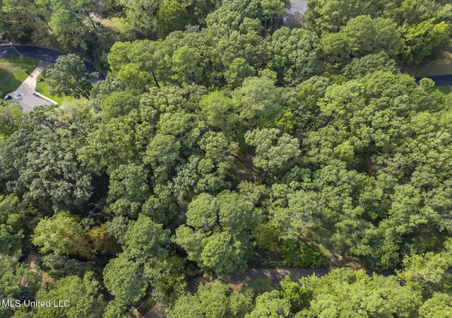 Photo 3 of Land for sale at 0 Drexel Cir, Clinton, MS 39056 | MLS# 4126049 | Listing updated on 2026-03-30