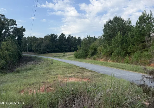 Homes for sale in Meridian, MS | Blizzard Road, Meridian, MS 39305 | MLS# 4126854