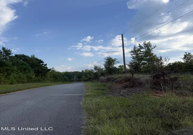 Homes for sale in Meridian, MS | Blizzard Road, Meridian, MS 39305 | MLS# 4126854