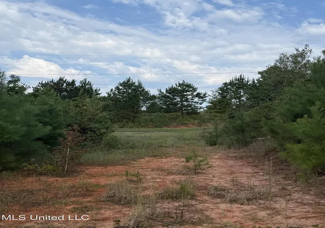 Homes for sale in Meridian, MS | Blizzard Road, Meridian, MS 39305 | MLS# 4126854