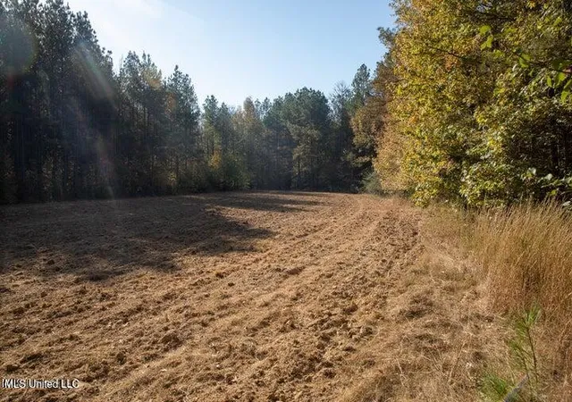 1st image of Vaughan Rd Rd, Vaughan, MS 39179 | MLS# 4126170