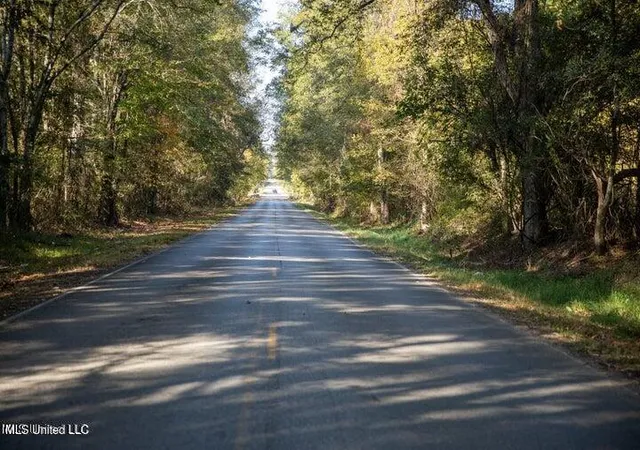 26th image of Vaughan Rd Rd, Vaughan, MS 39179 | MLS# 4126170