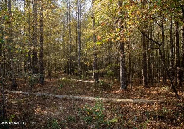 2nd image of Vaughan Rd Rd, Vaughan, MS 39179 | MLS# 4126170