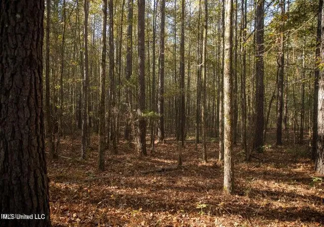 3rd image of Vaughan Rd Rd, Vaughan, MS 39179 | MLS# 4126170