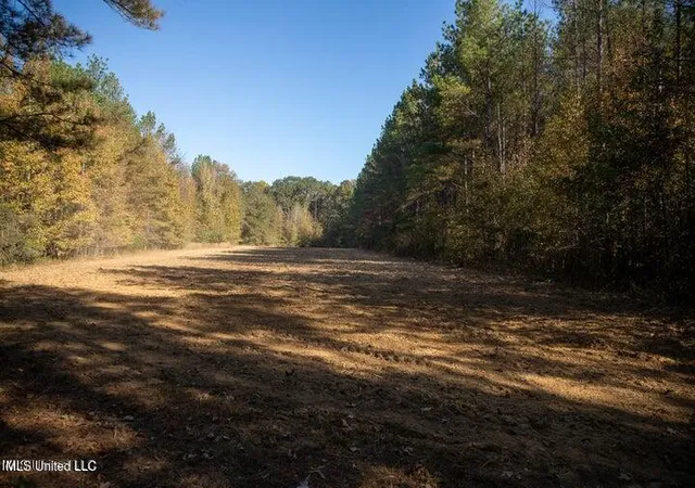 4th image of Vaughan Rd Rd, Vaughan, MS 39179 | MLS# 4126170