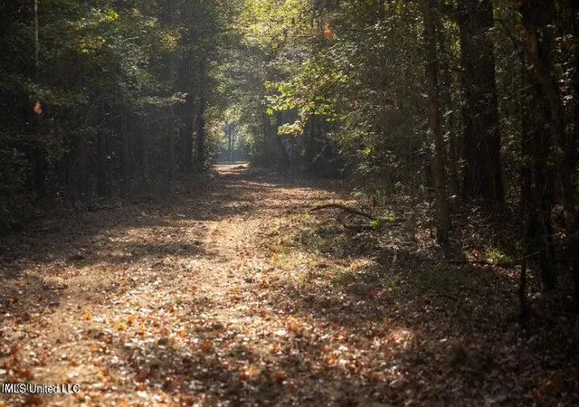 5th image of Vaughan Rd Rd, Vaughan, MS 39179 | MLS# 4126170