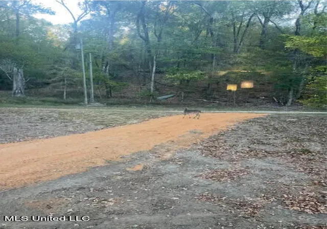 Homes for sale in Woodville, MS | 1743 The Rocks Road Road, Woodville, MS 39669 | MLS# 4126185