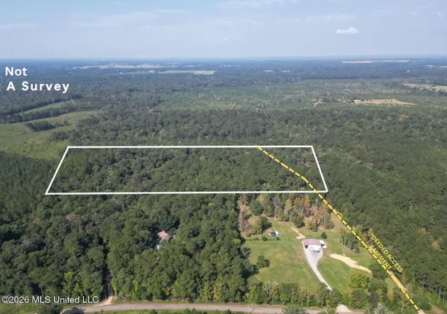 Photo 1 of Land for sale at 2179 Acre Homer Ladner Road, Poplarville, MS 39470 | MLS# 4127152 | Listing updated on 2026-08-12
