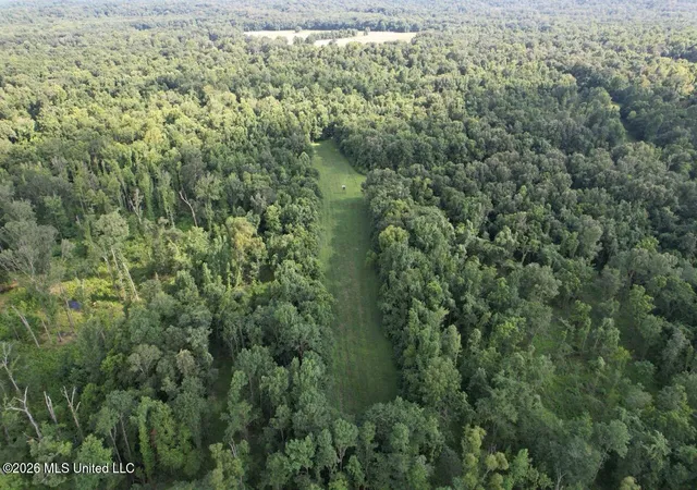 Homes for sale in Woodville, MS | Woodlawn Road, Woodville, MS 39669 | MLS# 4155233