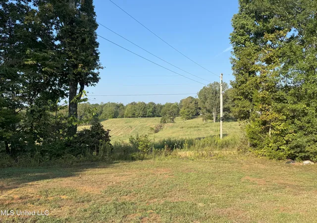 Homes for sale in Pontotoc, MS | 1113 New Salem Rd, Pontotoc, MS 38863 | MLS# 4126749