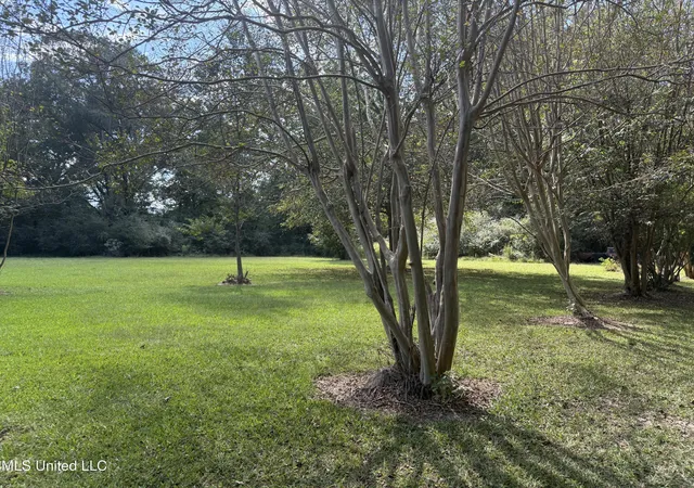 4th image of 157 Quail Holw, Canton, MS 39046 | MLS# 4126859