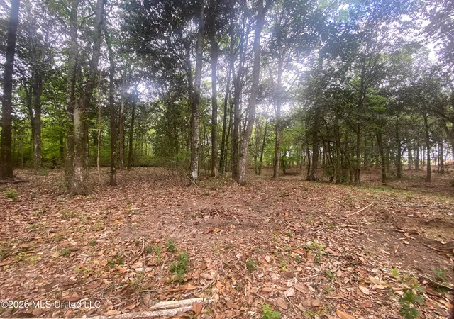 Homes for sale in Escatawpa, MS | 10 Ac Donniebrook Ln, Escatawpa, MS 39552 | MLS# 4126804