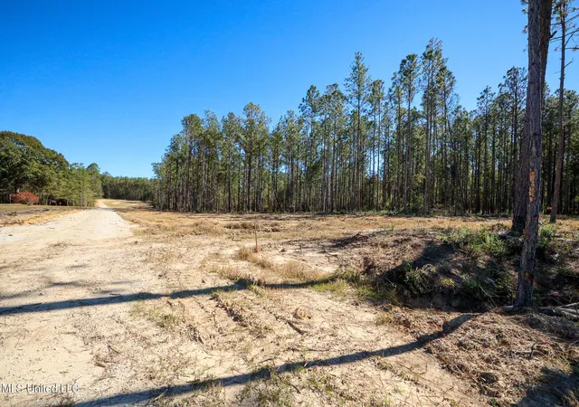 Homes for sale in Kiln, MS | Lot 2 Disalvo Ln, Kiln, MS 39556 | MLS# 4126947