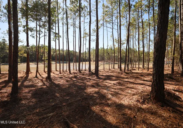 Homes for sale in Kiln, MS | Lot 2 Disalvo Ln, Kiln, MS 39556 | MLS# 4126947