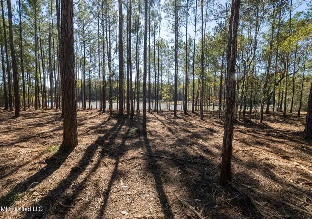 Homes for sale in Kiln, MS | Lot 2 Disalvo Ln, Kiln, MS 39556 | MLS# 4126947