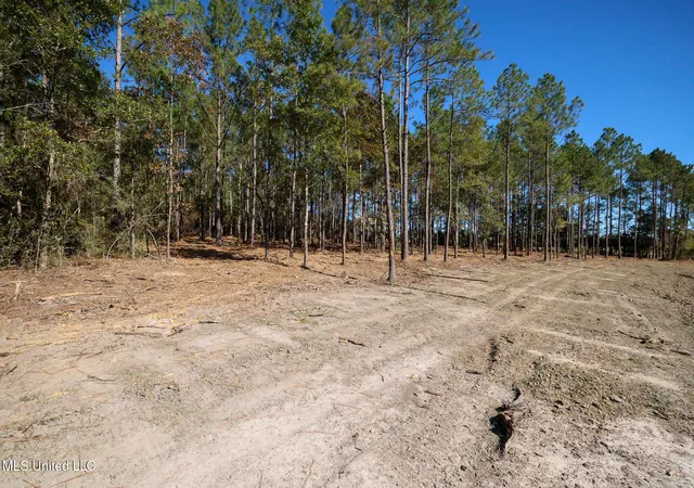 Homes for sale in Kiln, MS | Lot 2 Disalvo Ln, Kiln, MS 39556 | MLS# 4126947