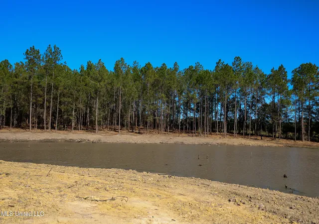 Homes for sale in Kiln, MS | Lot 2 Disalvo Ln, Kiln, MS 39556 | MLS# 4126947