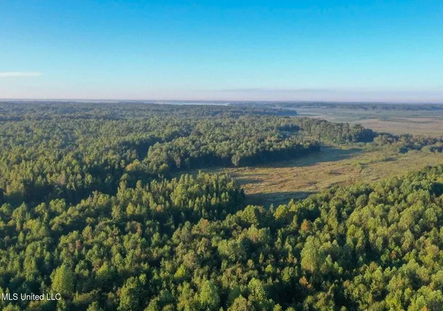 Photo 2 of Land for sale at Davis Ln, Hernando, MS 38632 | MLS# 4127017 | Listing updated on 2026-10-01