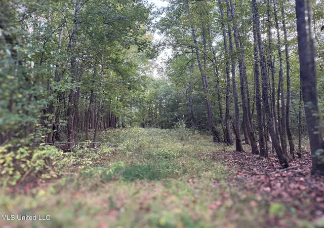 Photo 4 of Land for sale at Davis Ln, Hernando, MS 38632 | MLS# 4127017 | Listing updated on 2026-10-01