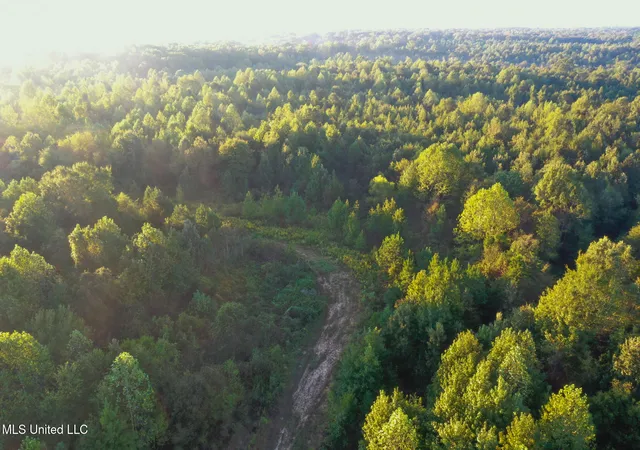 Photo 3 of Land for sale at Davis Ln, Hernando, MS 38632 | MLS# 4127017 | Listing updated on 2026-10-01