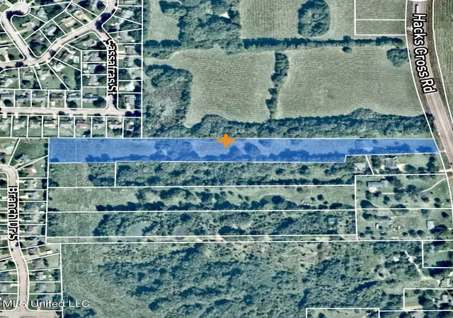 41st image of 6741 Hacks Cross Rd, Olive Branch, MS 38654 | MLS# 4127094